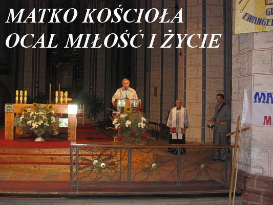 Kliknij, aby powi�kszy� zdj�cie...