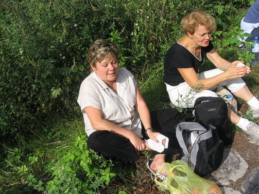 Kliknij, aby powi�kszy� zdj�cie...