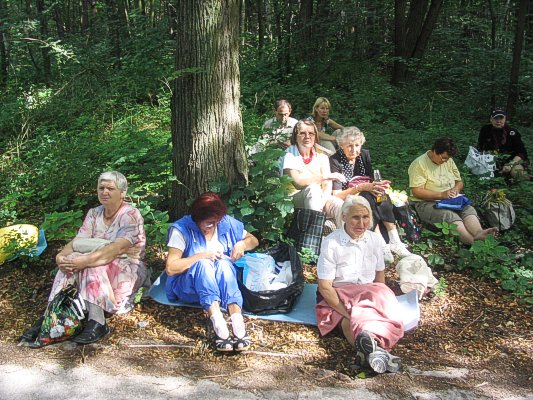 Kliknij, aby powi�kszy� zdj�cie...