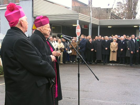 Kliknij, aby powi�kszy� zdj�cie...