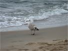 20130915pustkowo71