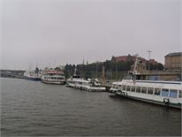 20140906dziew09