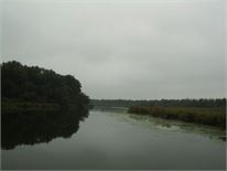 20140906dziew26