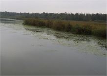 20140906dziew27